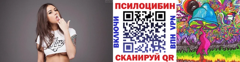 Галлюциногенные грибы Psilocybine cubensis  Георгиевск 