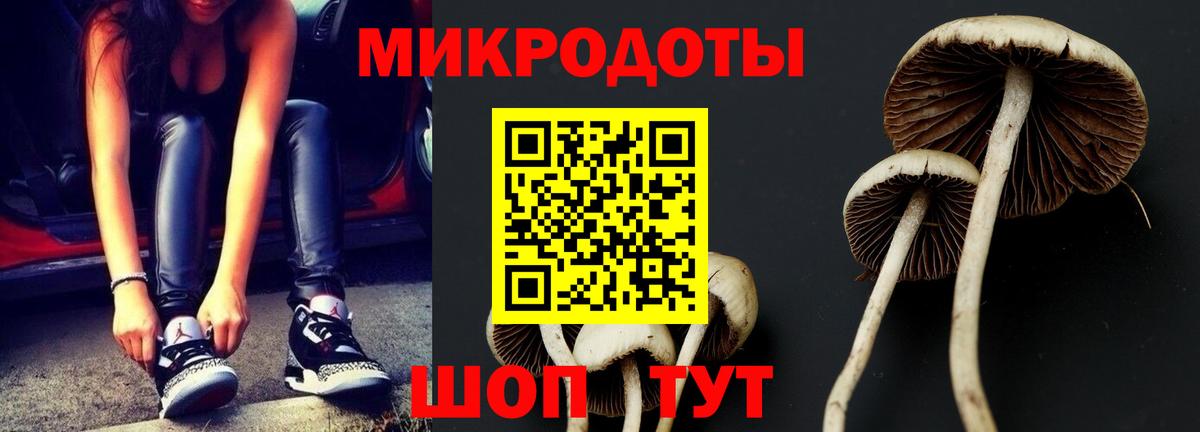 Псилоцибиновые грибы Cubensis Георгиевск