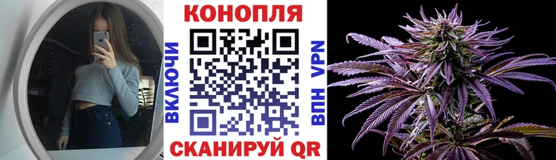 Канабис план Георгиевск