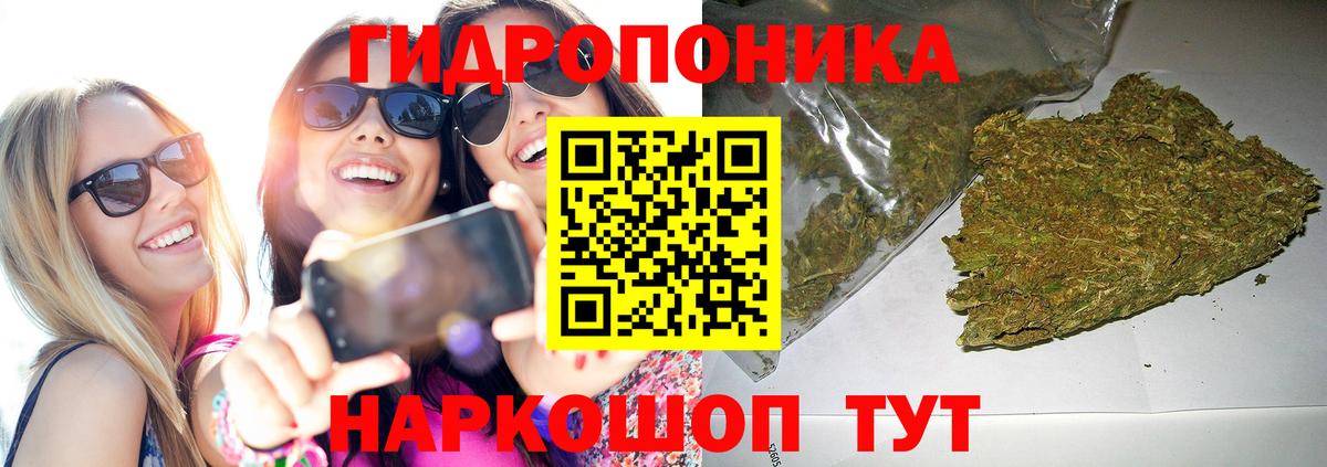 Конопля сатива  Канабис Ganja  Бошки Шишки Bruce Banner  Бошки марихуана SATIVA & INDICA  Георгиевск  Вход с VPN 